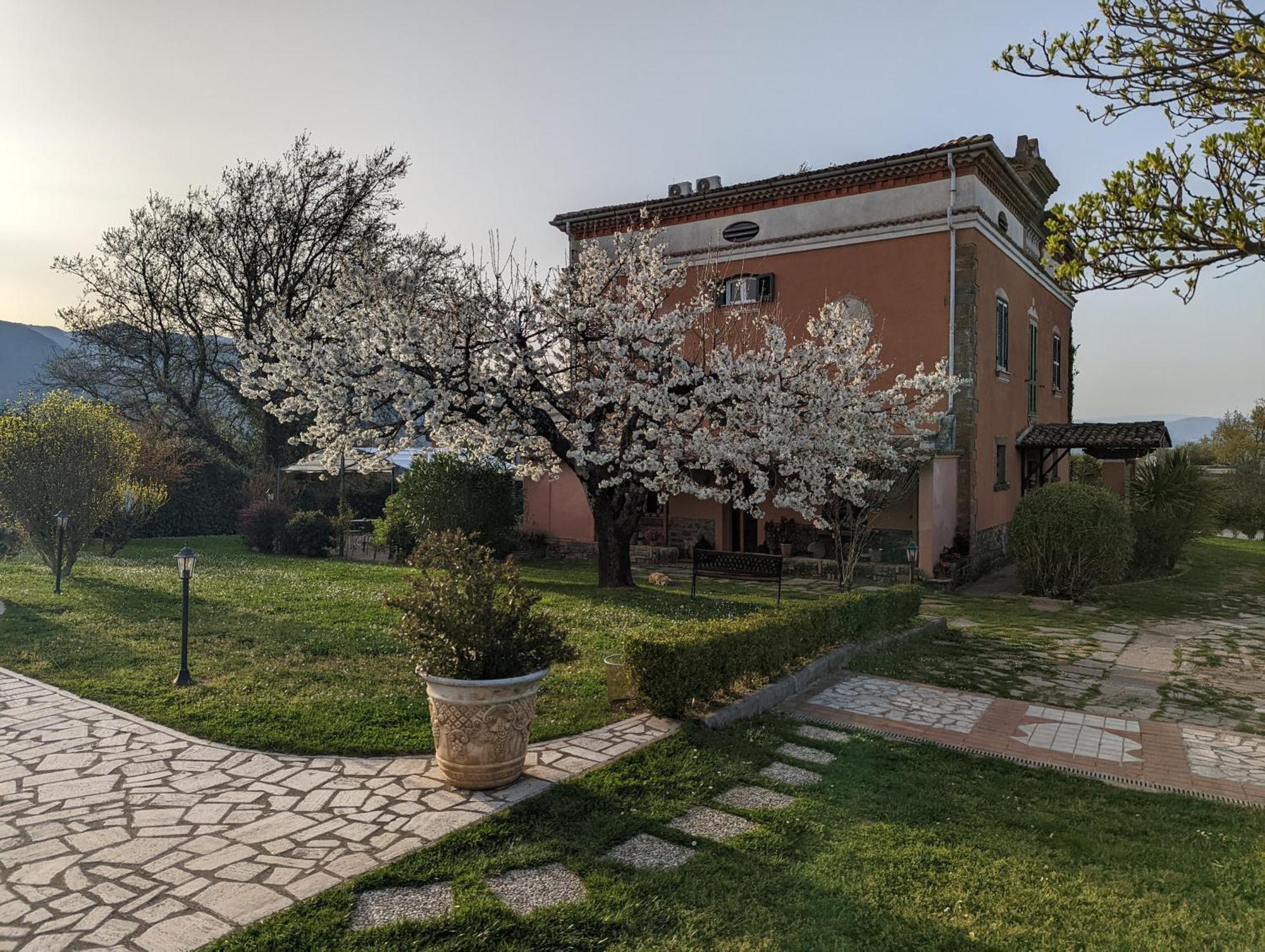 Dimora Marella Patrica - Frosinone Hotel Exterior photo